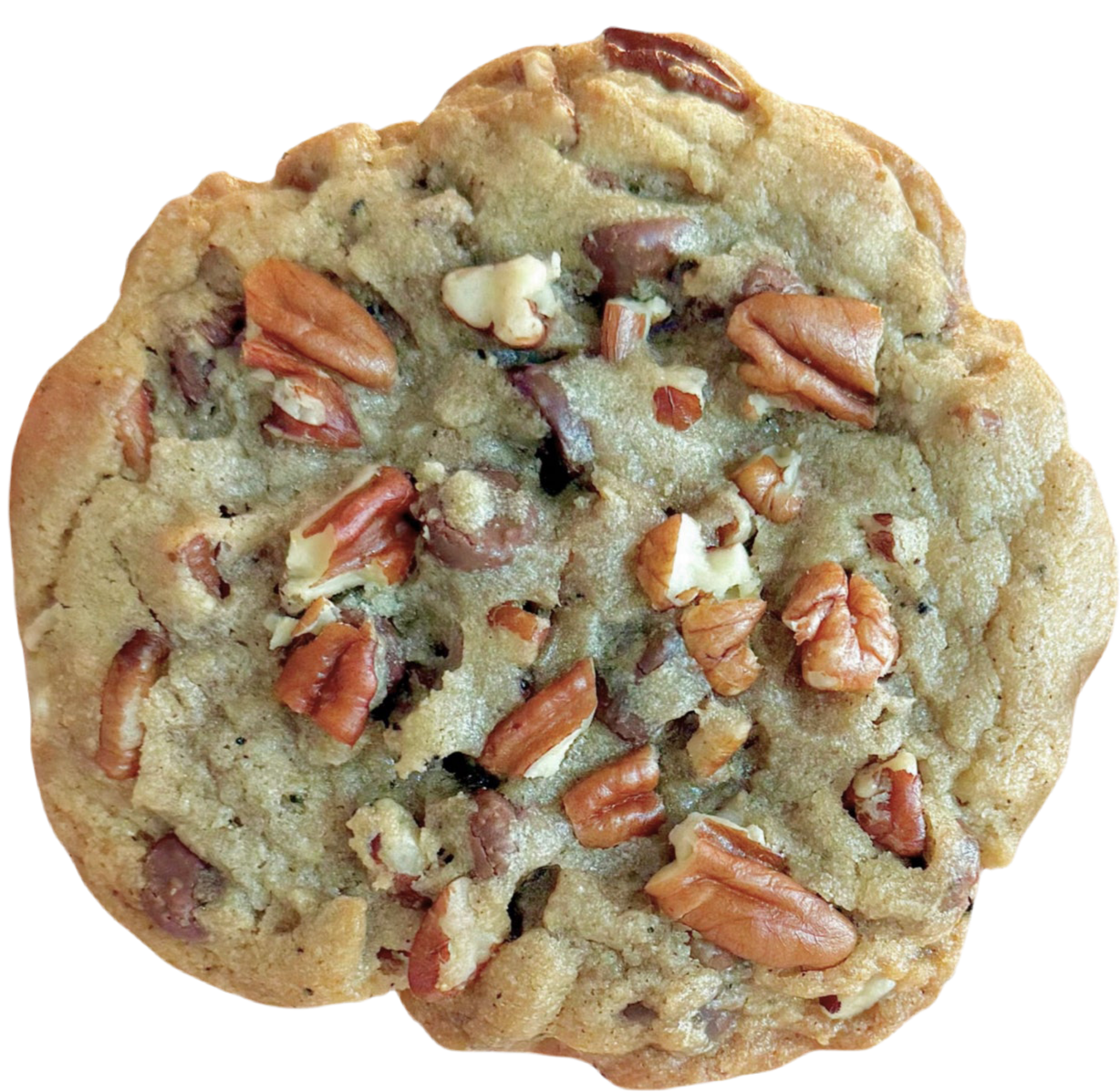 Pecan Chocolate Chip
