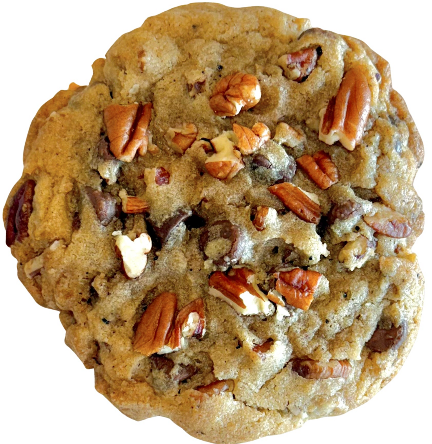 Pecan Chocolate Chip